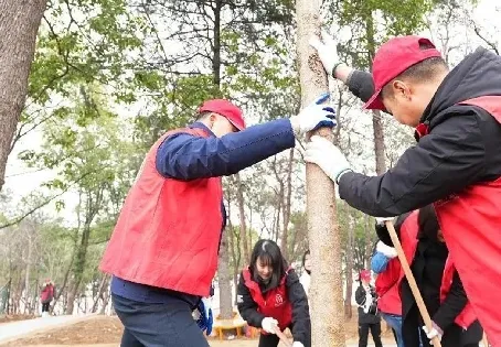 圖片11